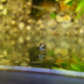 20150309 202309